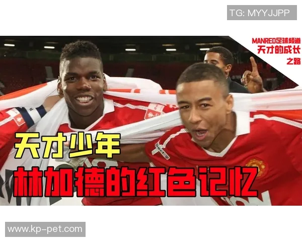 哈兰德背后的故事：从少年到巨星之路