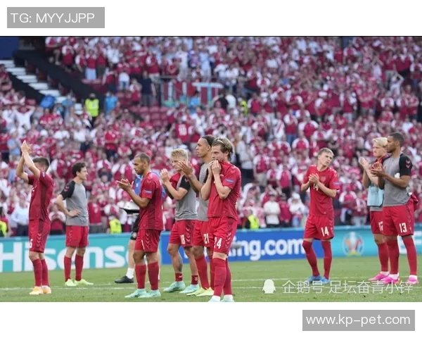 欧洲杯资格赛前瞻：传统强队压力山大