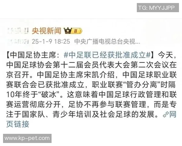 中超联赛新规全面解析对球队竞争力与发展趋势的深远影响